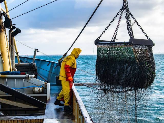 Vedas de Recursos Marinos en los Primeros Meses del 2024: Medidas para la&nbsp;Conservación