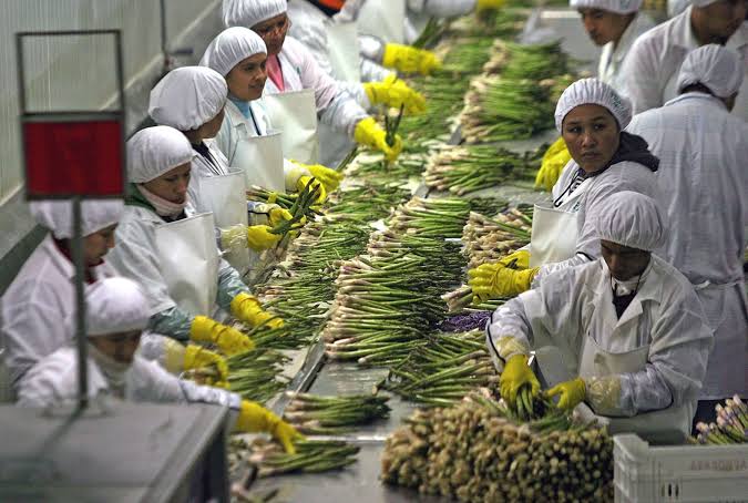 Perú: Exportaciones Agrarias Superan los US$ 10,000 millones en&nbsp;2023