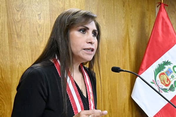 Patricia Benavides: PJ se prepara para decidir sobre pedido de tutela de&nbsp;derechos
